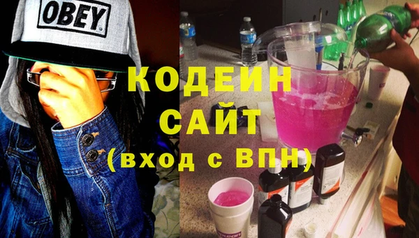 МДПВ Бородино