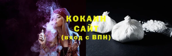 МДПВ Бородино