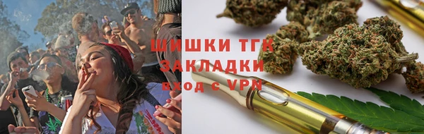 МДПВ Бородино